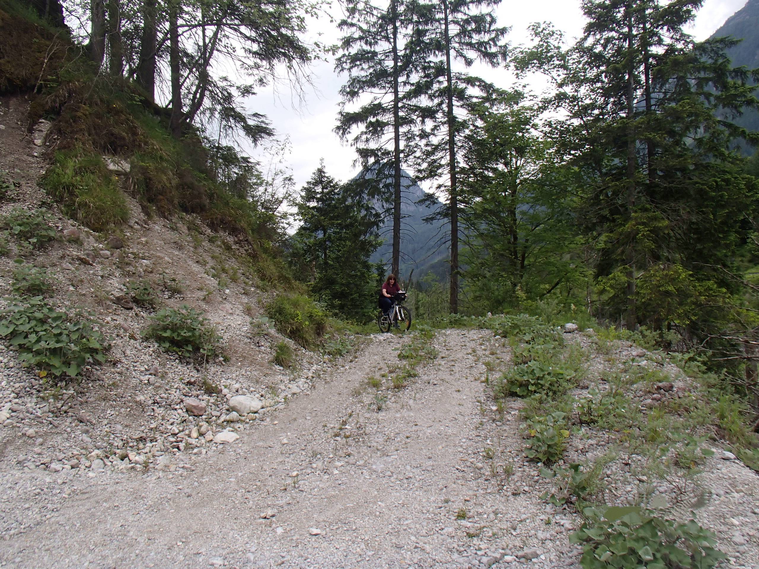 Leopoldsteiner See Mountain Biking