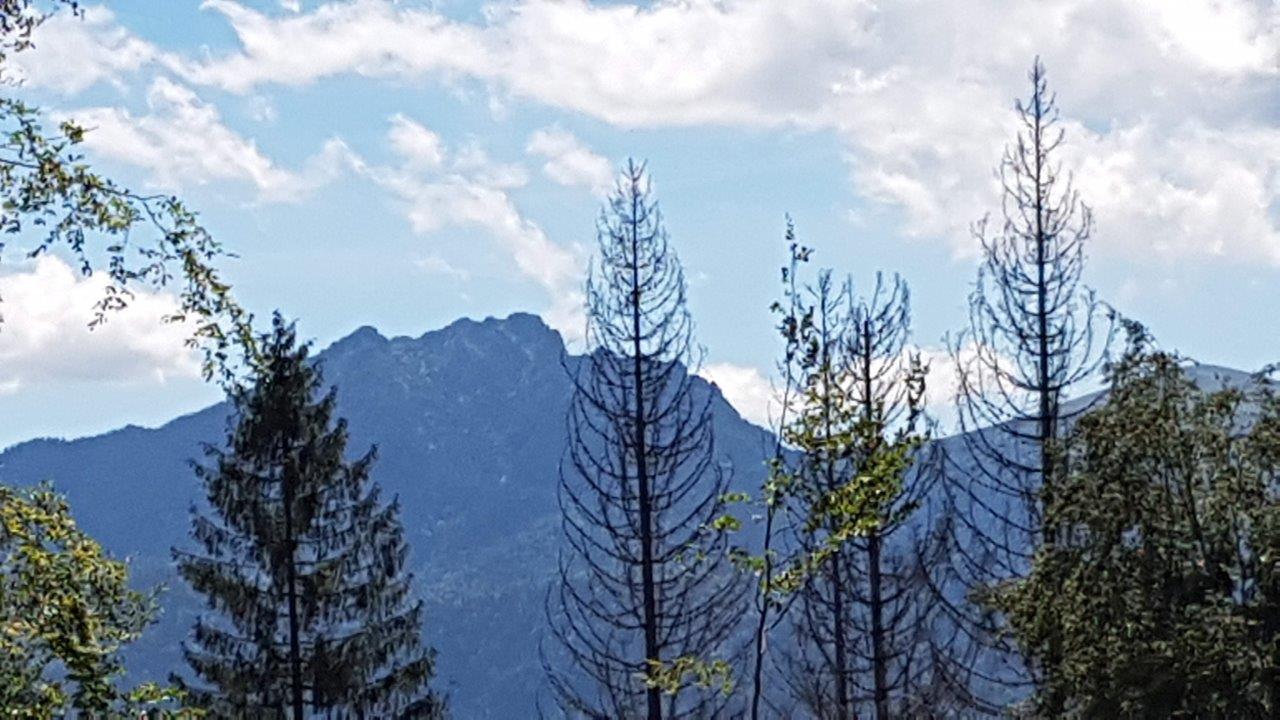 Mala Fatra National Park Mountain Biking