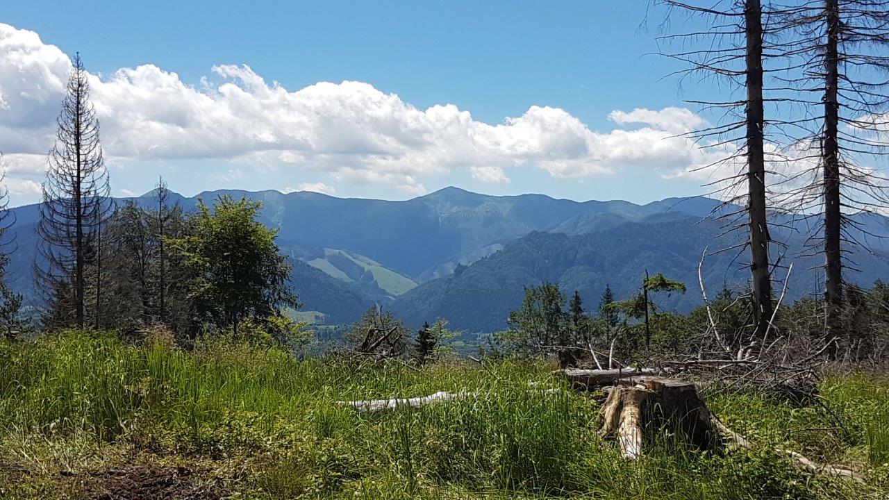 Mala Fatra National Park Mountain Biking