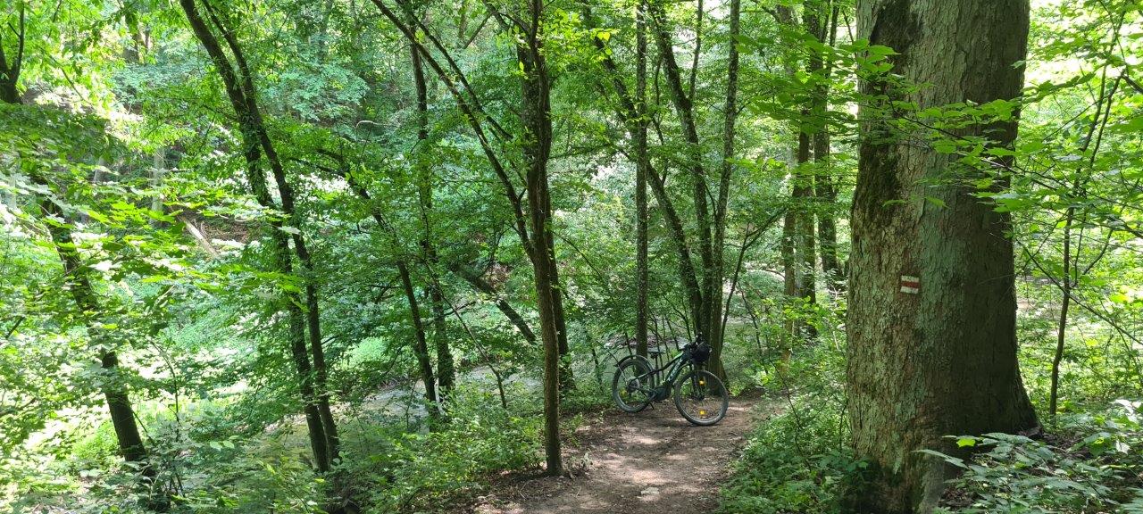 Mountain Biking in Moravsky Kras
