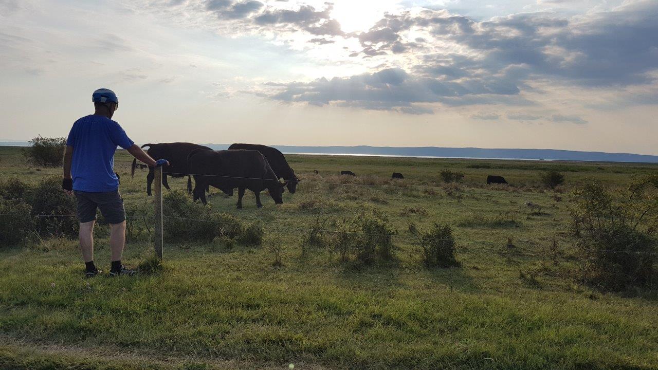 Neusiedlersee Full Loop Cycling