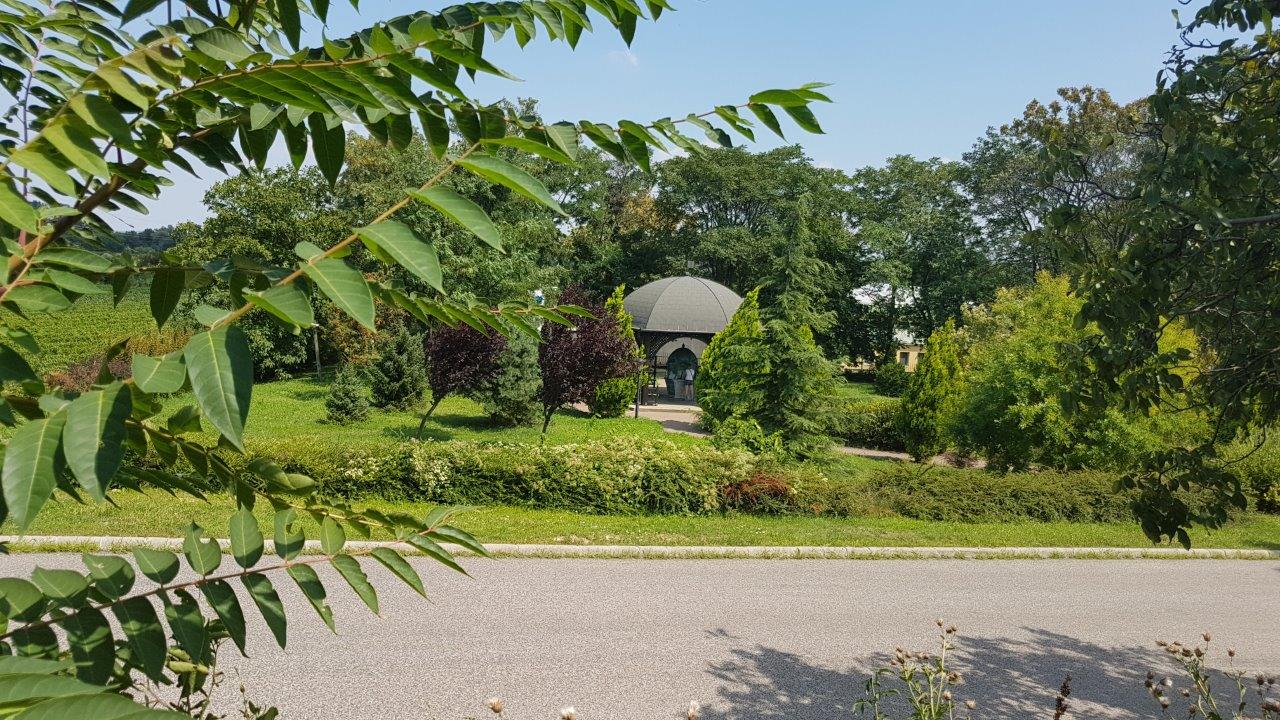 Neusiedlersee Full Loop Cycling