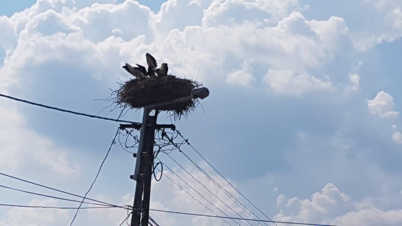 Neusiedlersee Full Loop Cycling