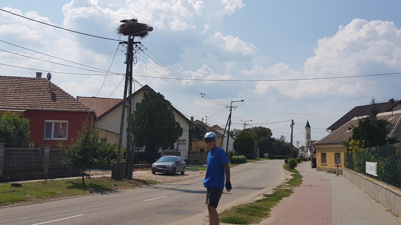 Neusiedlersee Full Loop Cycling