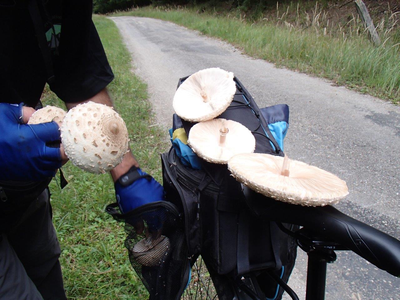 Vrsatecke Bralo Mountain Biking