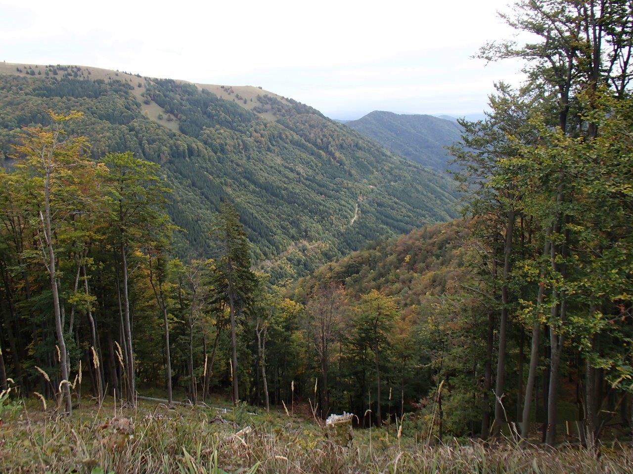 Velka Fatra National Park Mountain Biking
