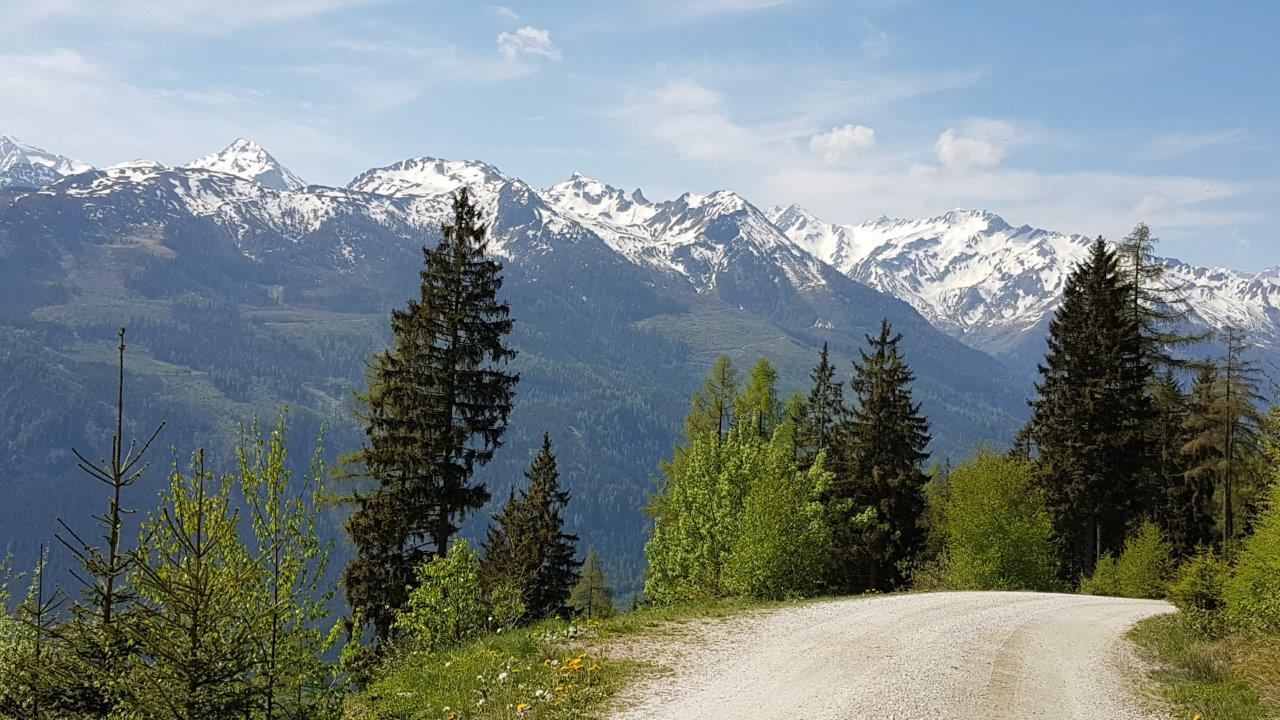 Panoramalm Mountain Biking