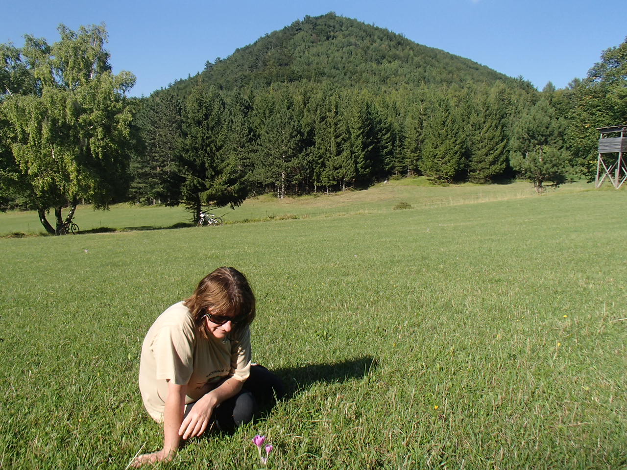 Pernitz Panoramarunde Mountain Biking
