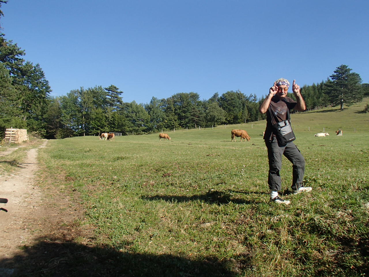 Pernitz Panoramarunde Mountain Biking
