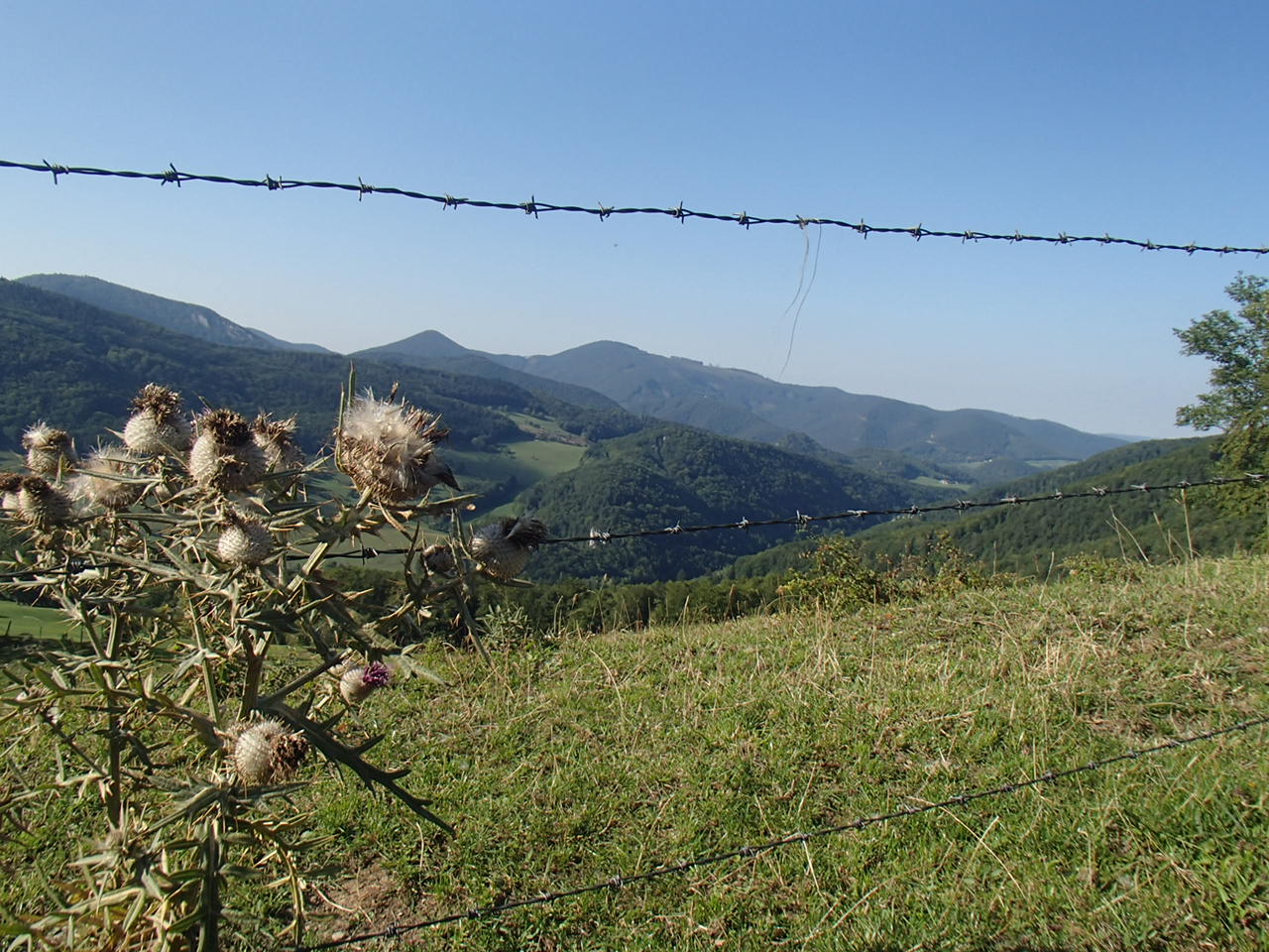 Pernitz Panoramarunde Mountain Biking