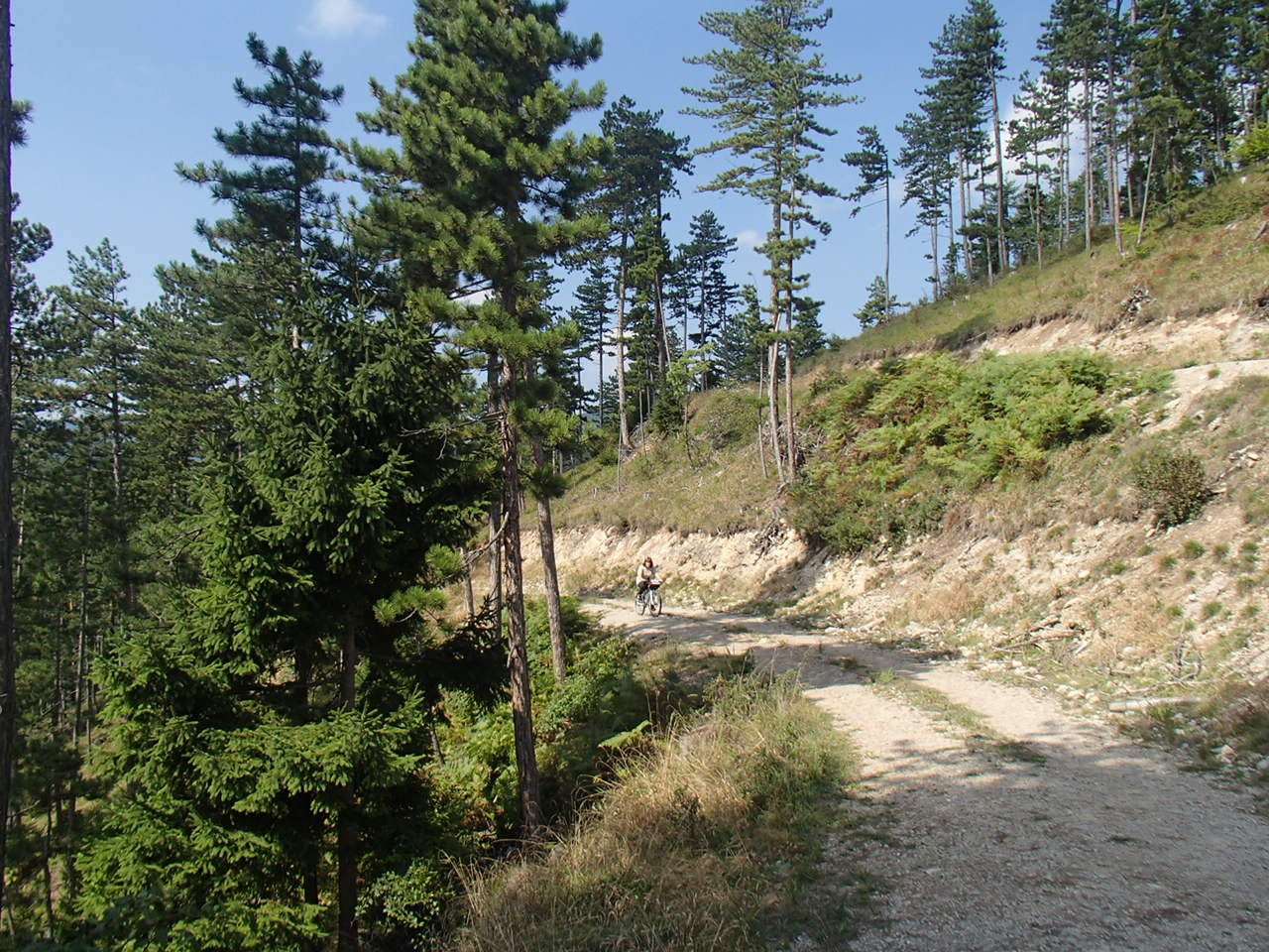 Pernitz Panoramarunde Mountain Biking