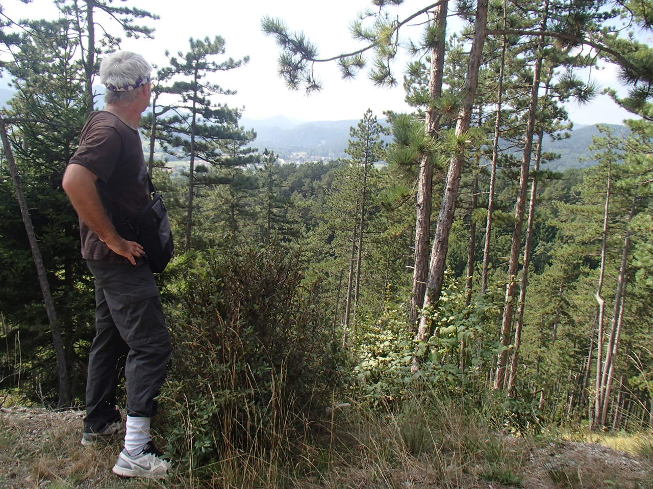 Pernitz Panoramarunde Mountain Biking