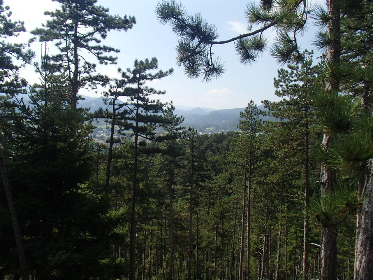 Pernitz Panoramarunde Mountain Biking