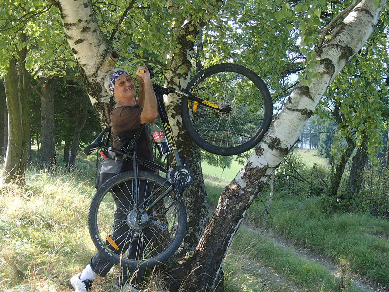 Pernitz Panoramarunde Mountain Biking