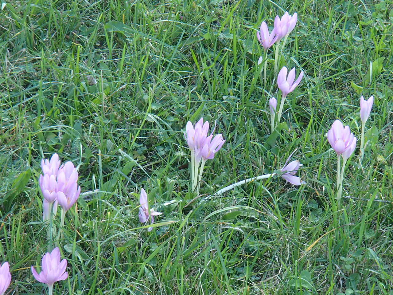 Pernitz Panoramarunde Mountain Biking