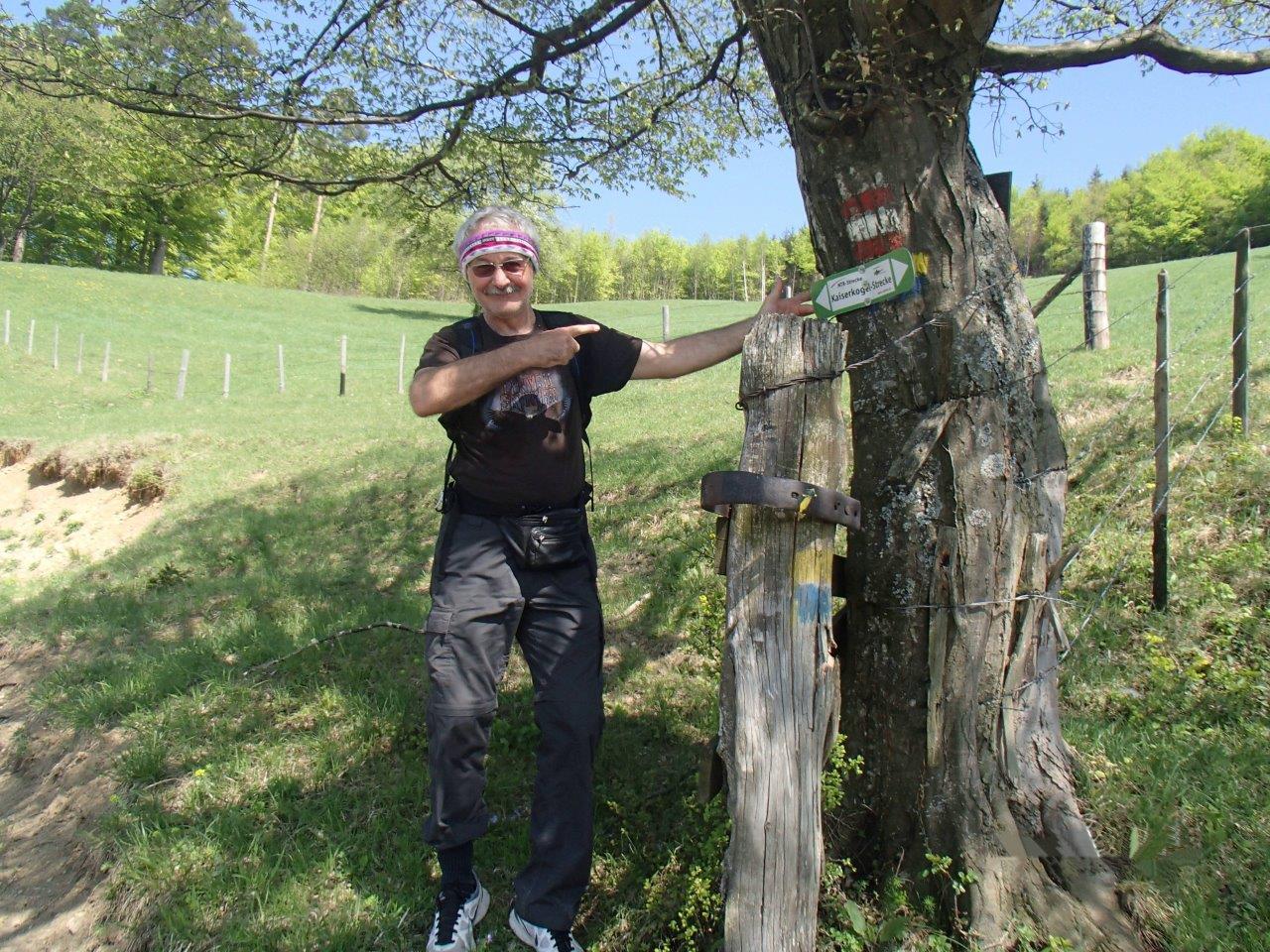 Rabenstein Kaiserkogel Mountain Biking in Gutenstein Alps