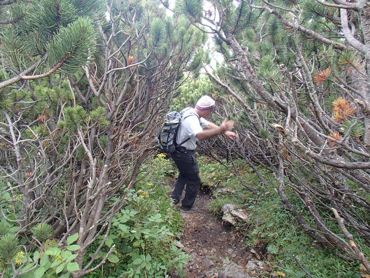Hike from Rax Cableway to Preinerwand Kreuz in Schneeberg Alps