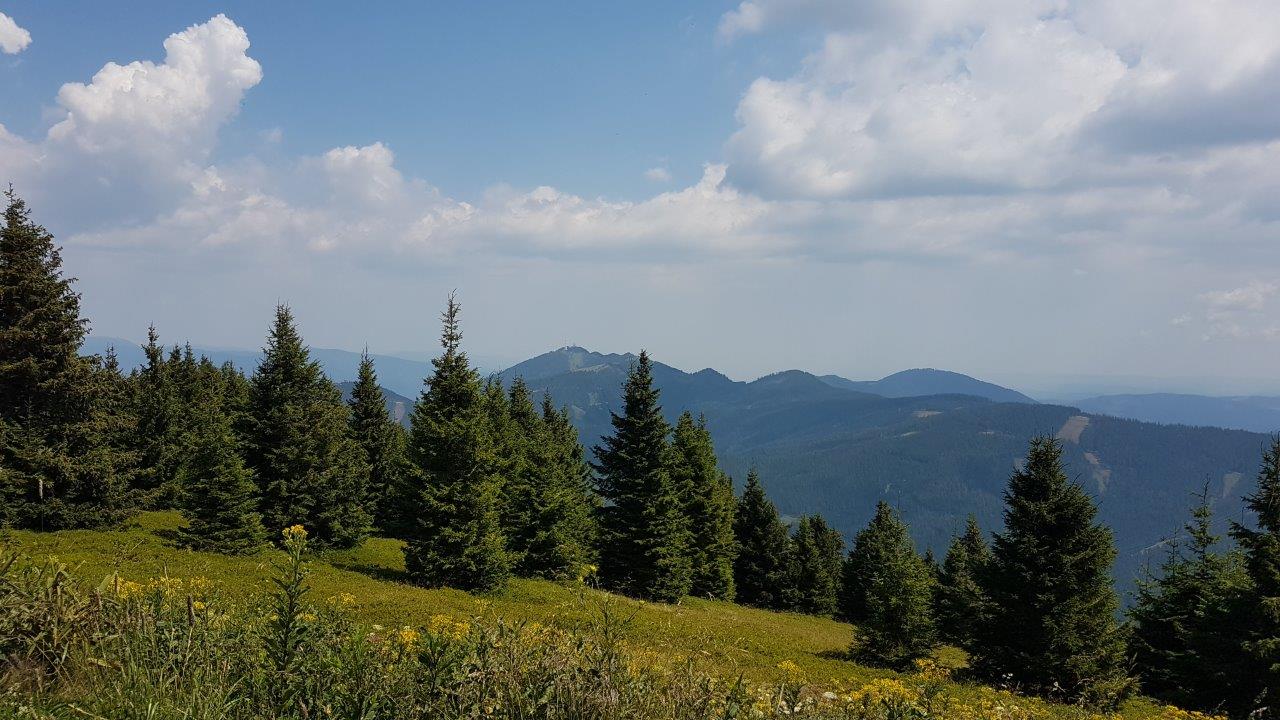 Rettenegg - Stuhleck Mountain Biking