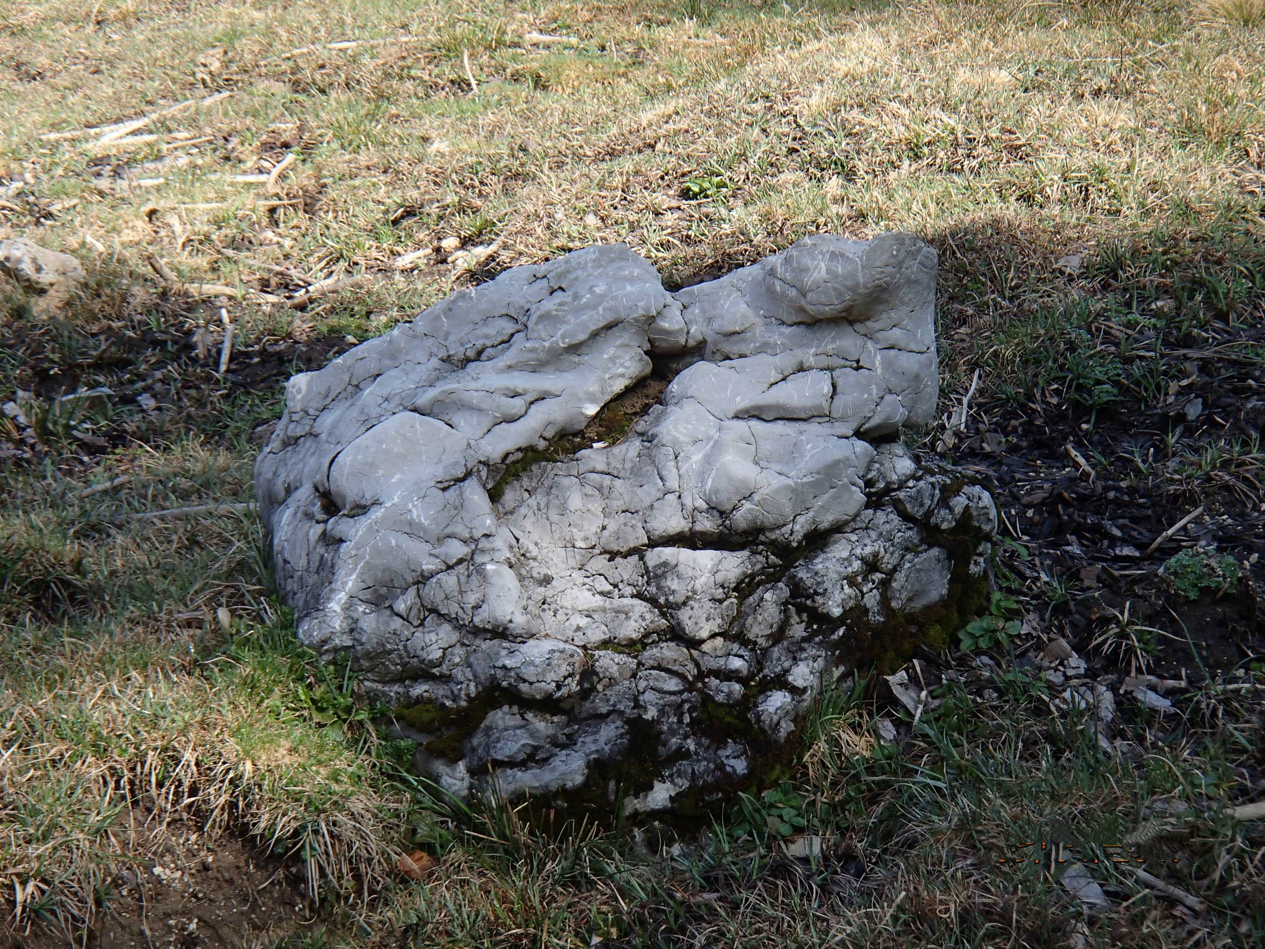 Schwarzensee Mountain Biking