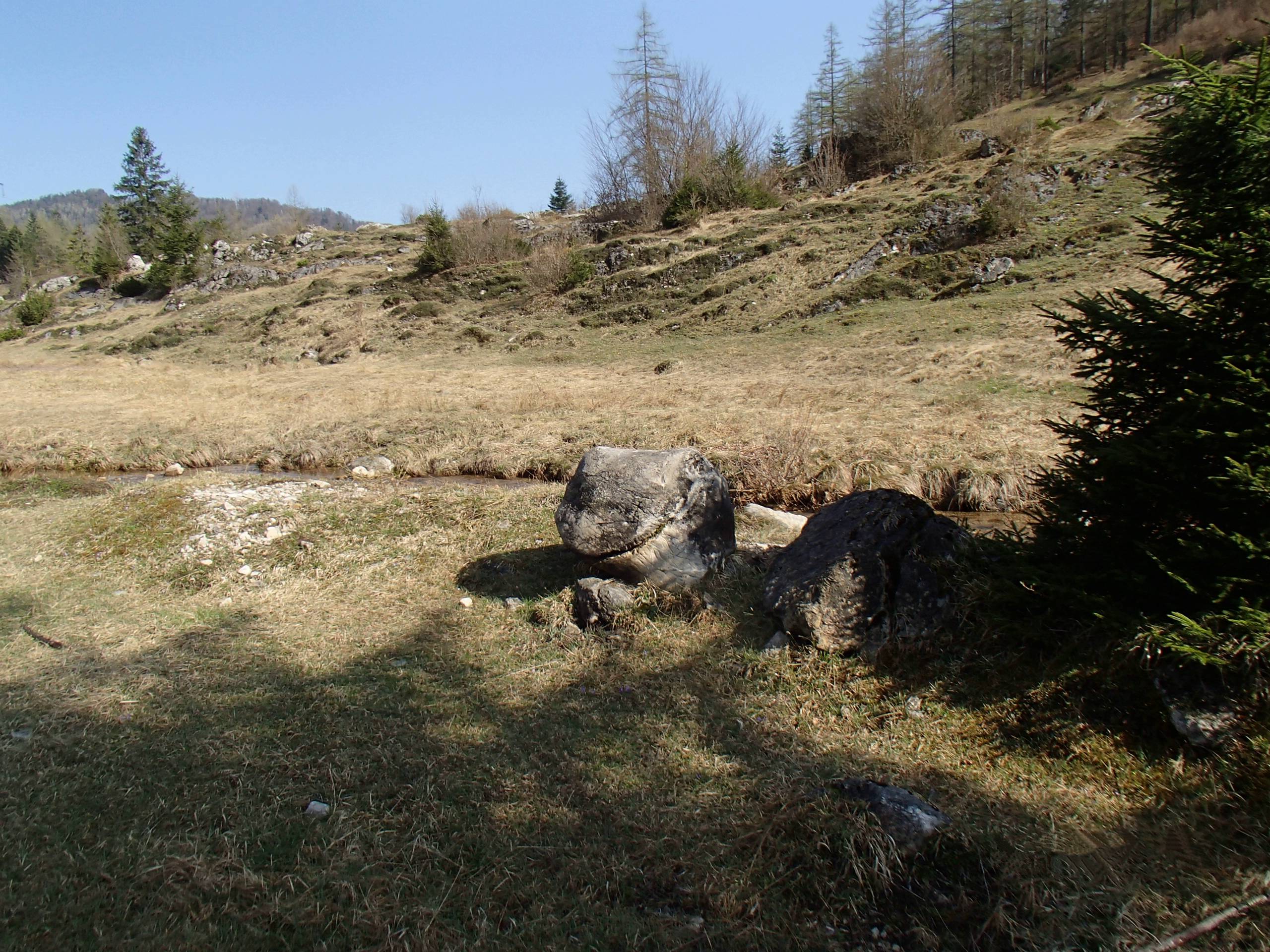 Schwarzensee Mountain Biking