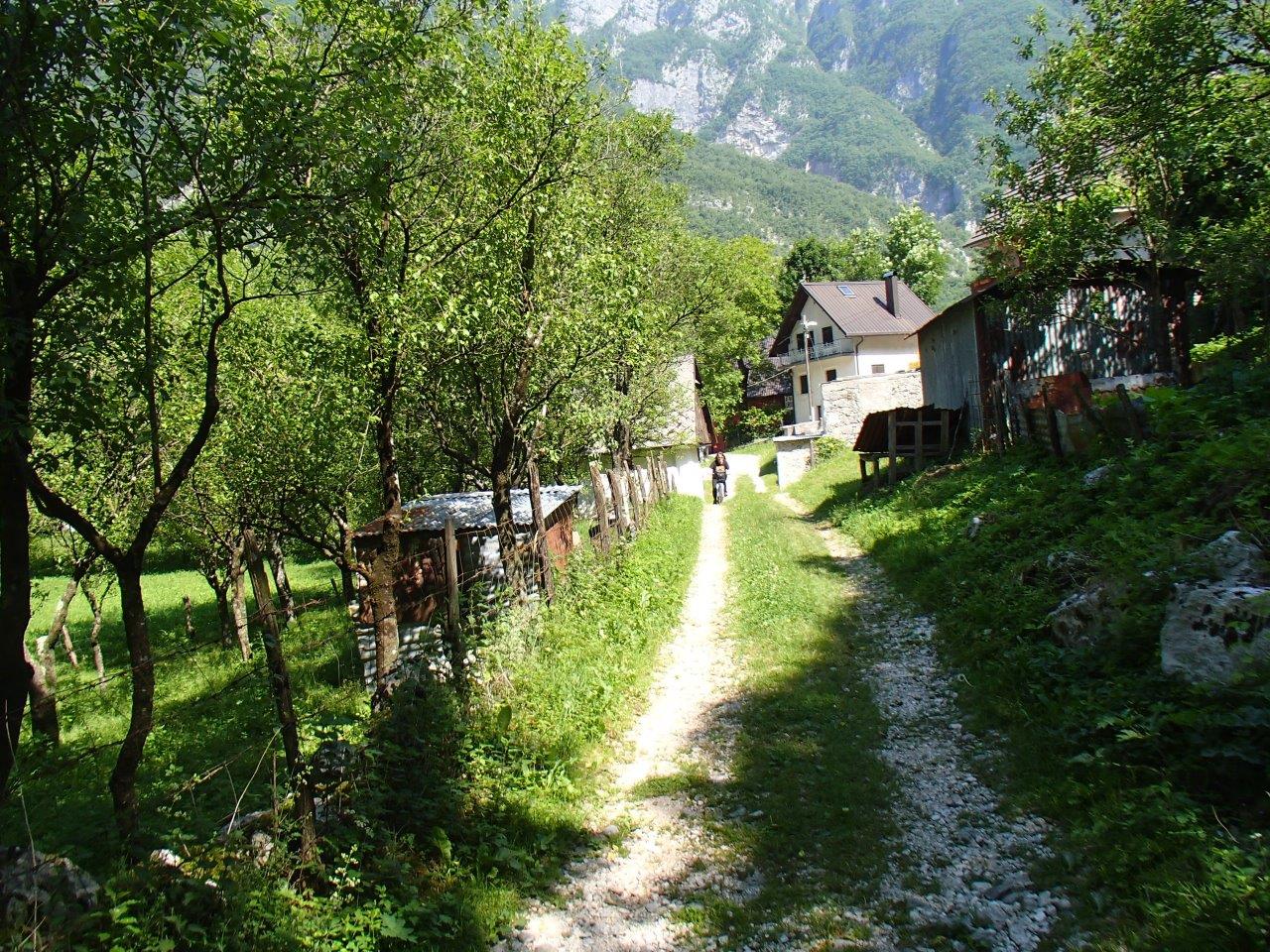 The river Soča Cycling
