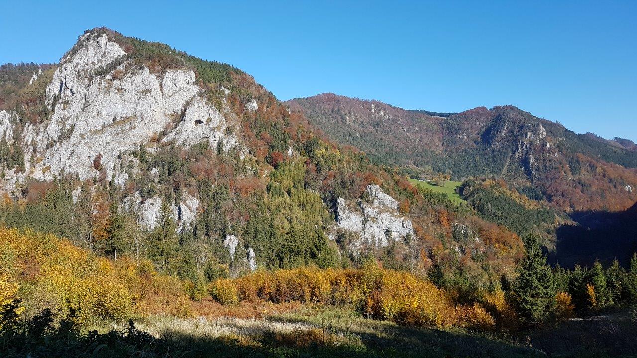 Ötscher-Tormäuer Nature Park Steingrabenkreuz Mountain Biking
