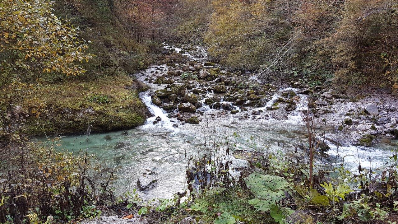 Ötscher-Tormäuer Nature Park Steingrabenkreuz Mountain Biking