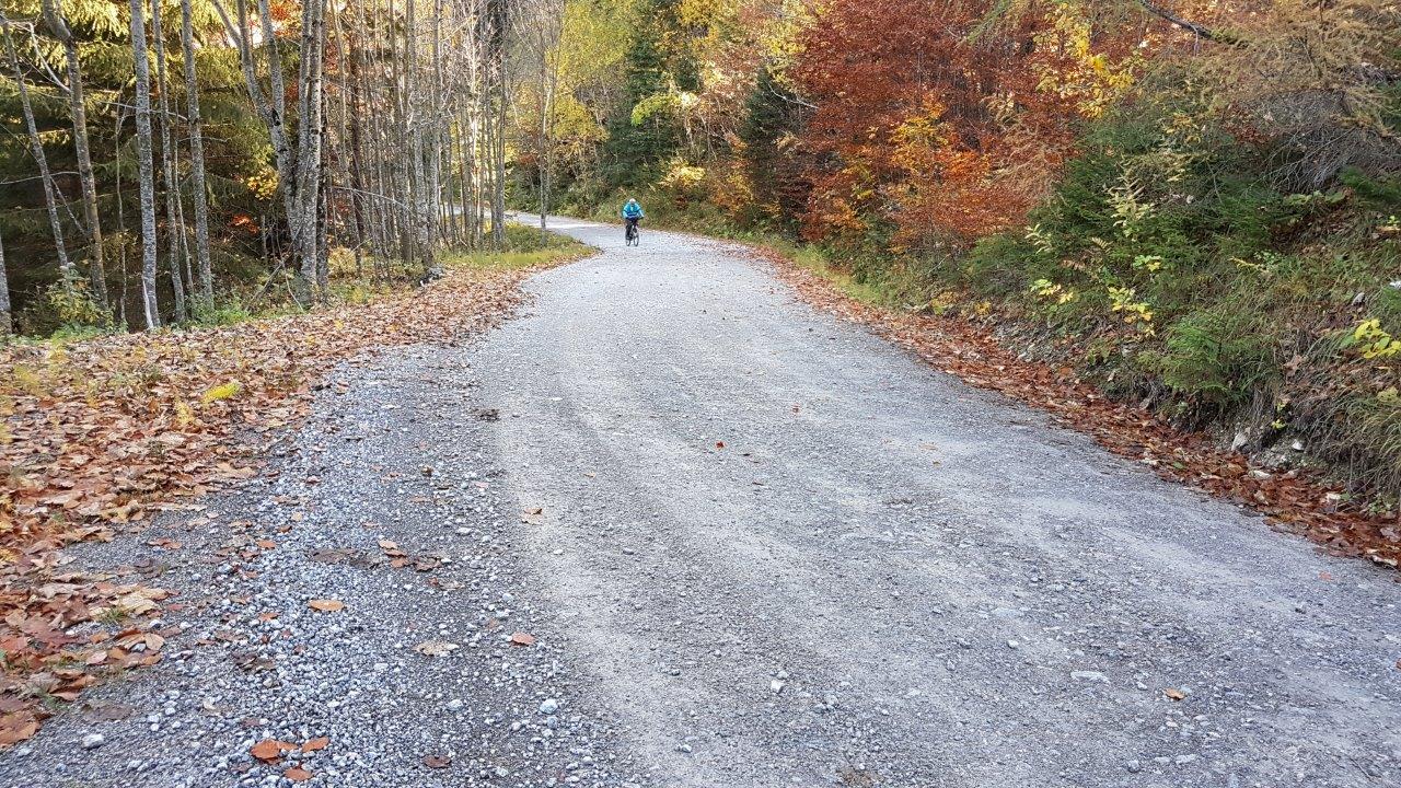 Ötscher-Tormäuer Nature Park Steingrabenkreuz Mountain Biking