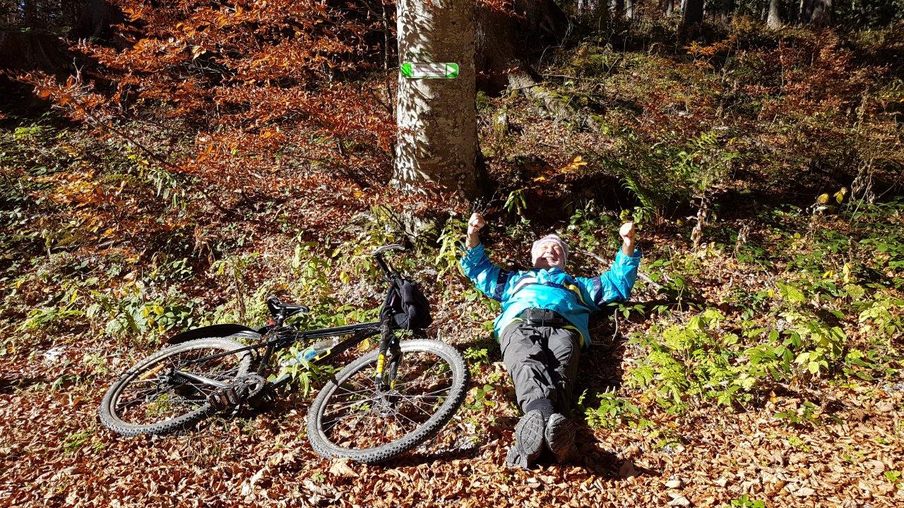 Ötscher-Tormäuer Nature Park Steingrabenkreuz Mountain Biking