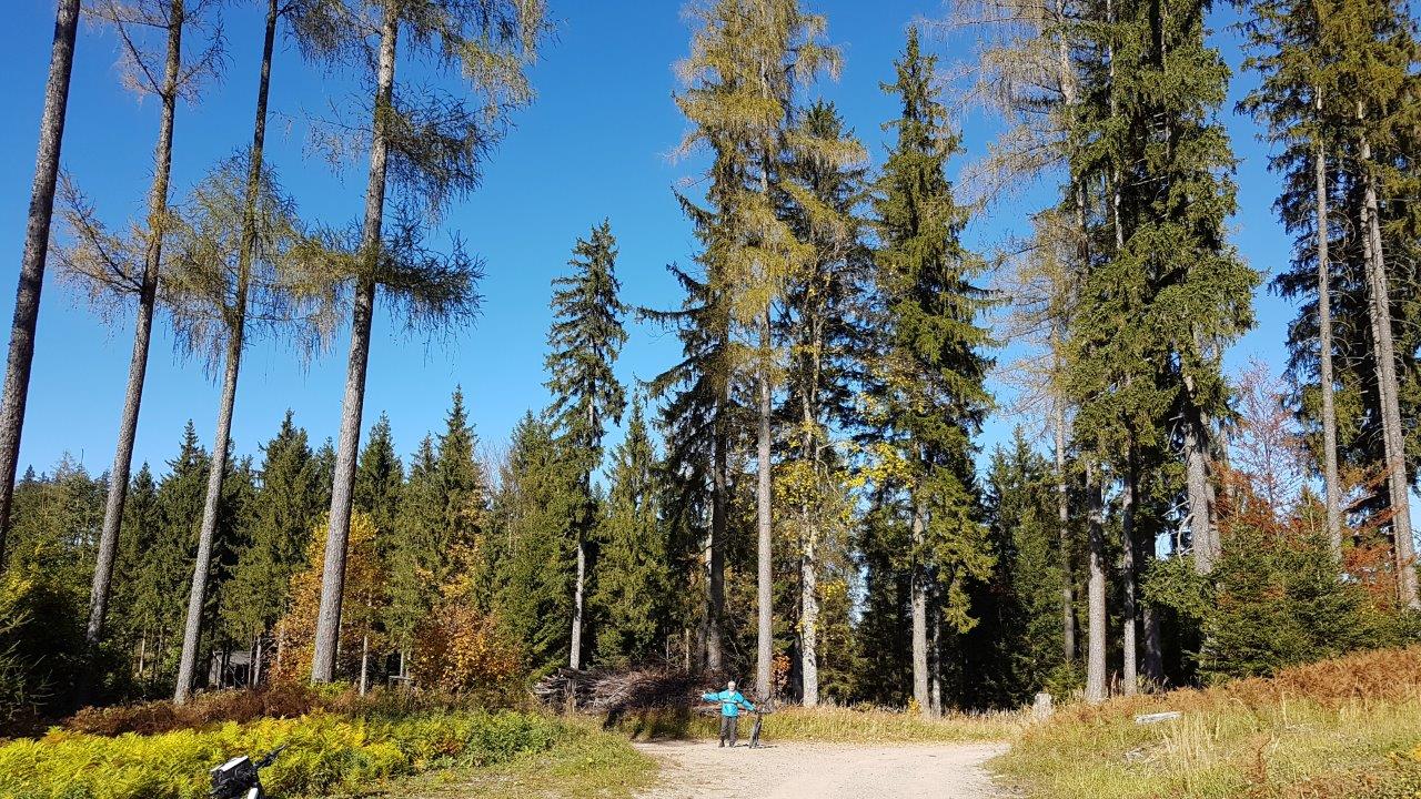 Ötscher-Tormäuer Nature Park Steingrabenkreuz Mountain Biking