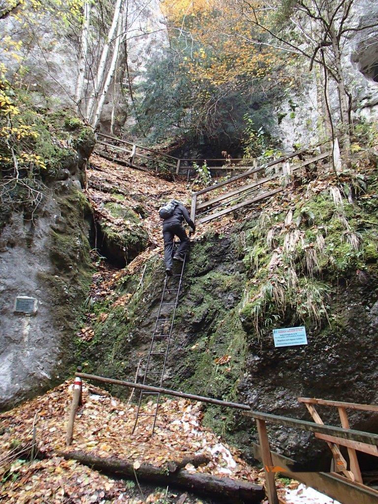 Steinwandklamm Hike