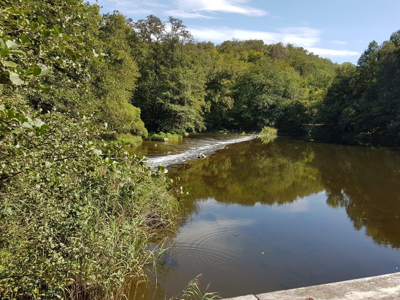 Thayatal National Park Mountain Biking