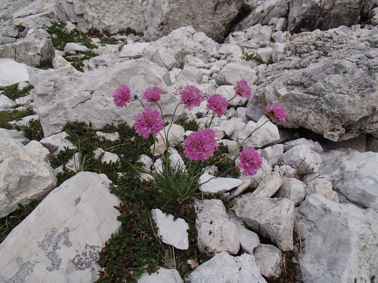 Tre Cime National Park Hiking