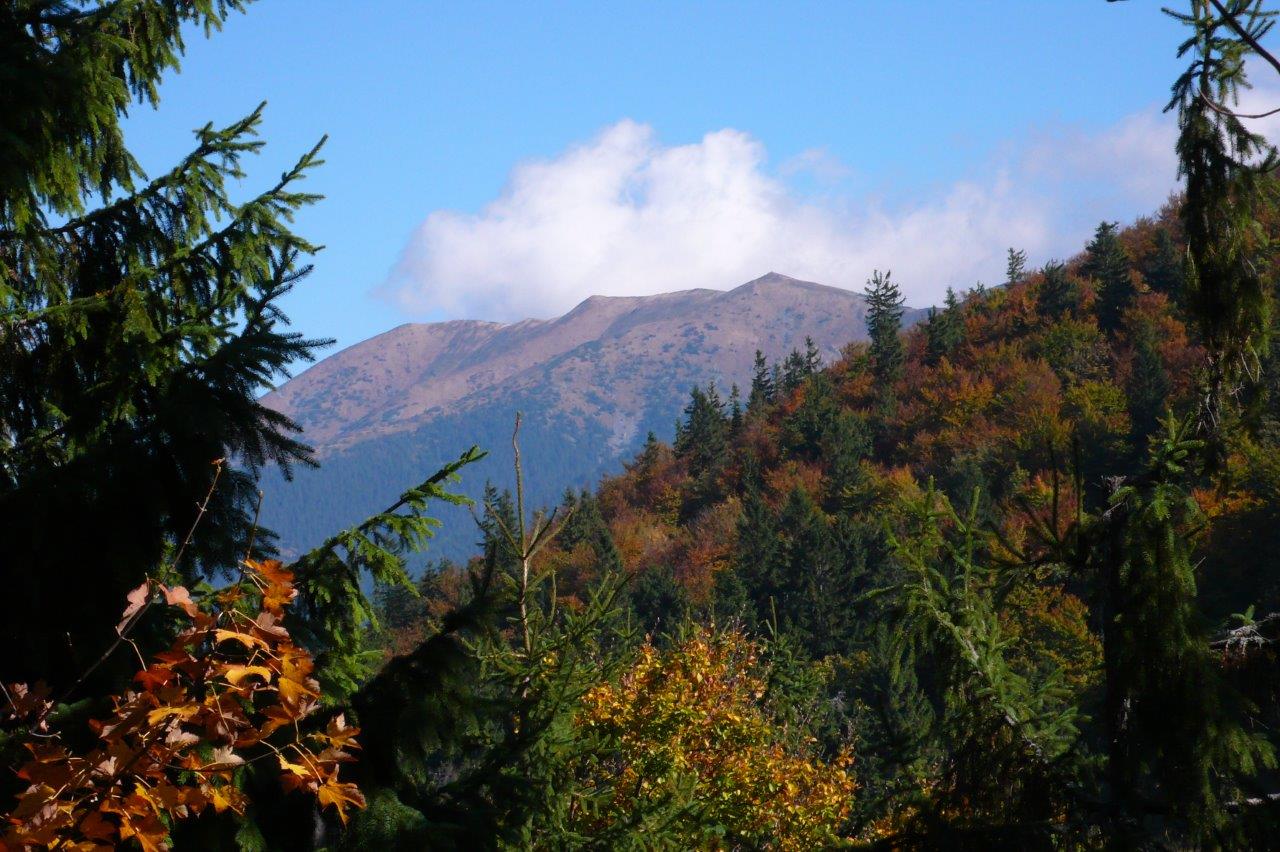 Donovaly Mountain Biking