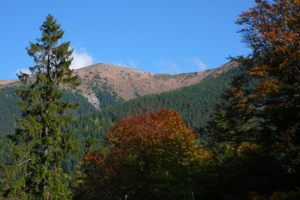 Donovaly Mountain Biking