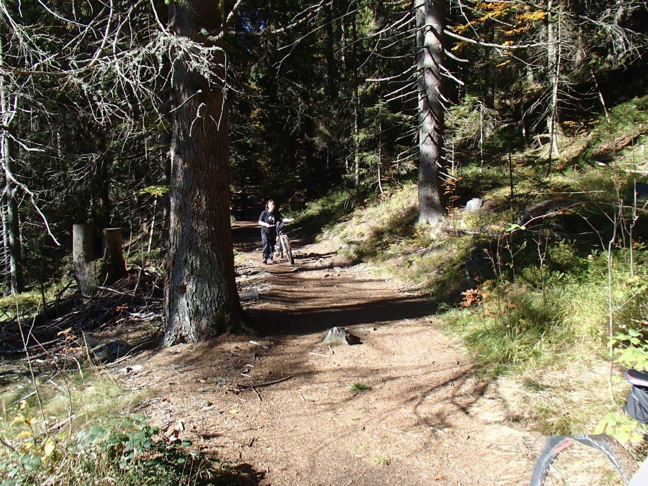 Donovaly Mountain Biking