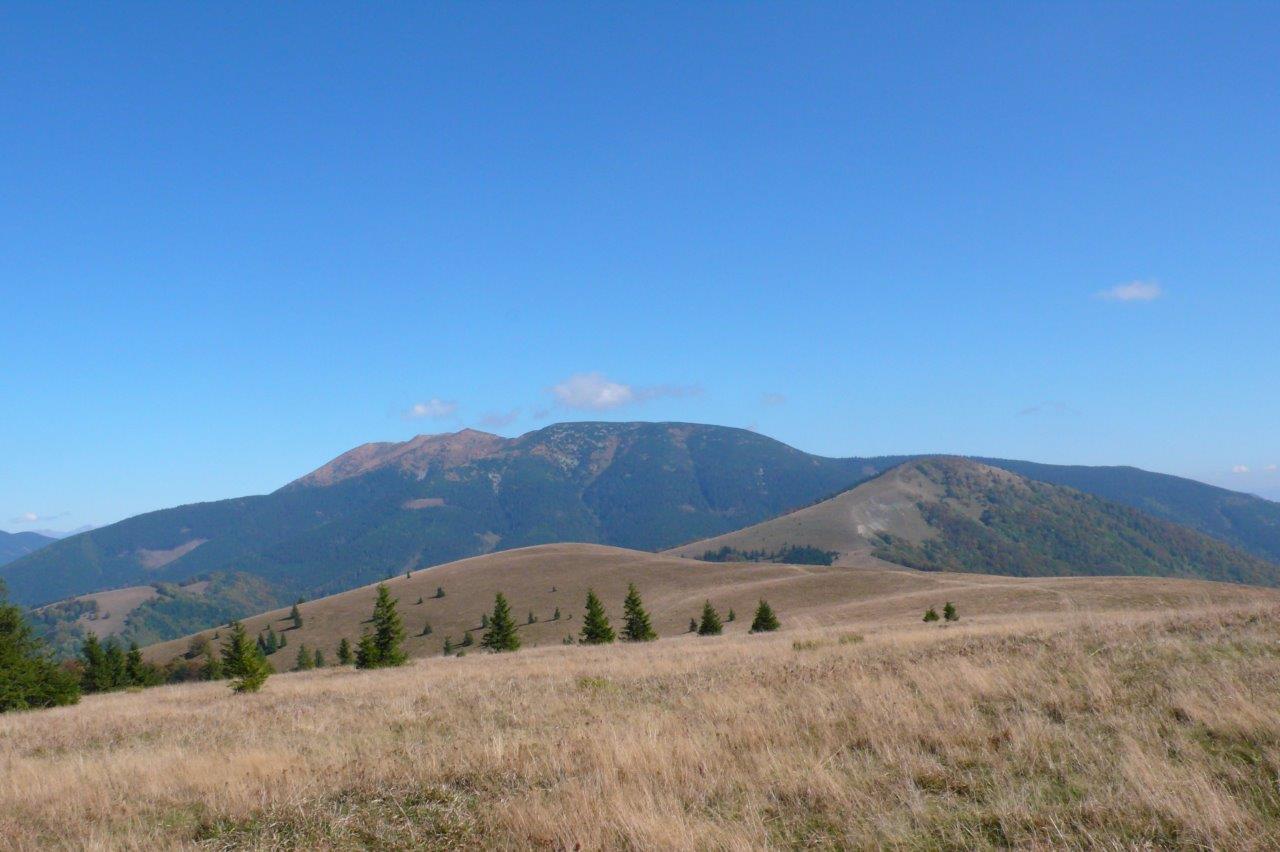 Donovaly Mountain Biking