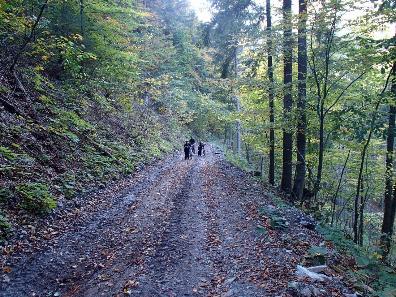 Donovaly Mountain Biking