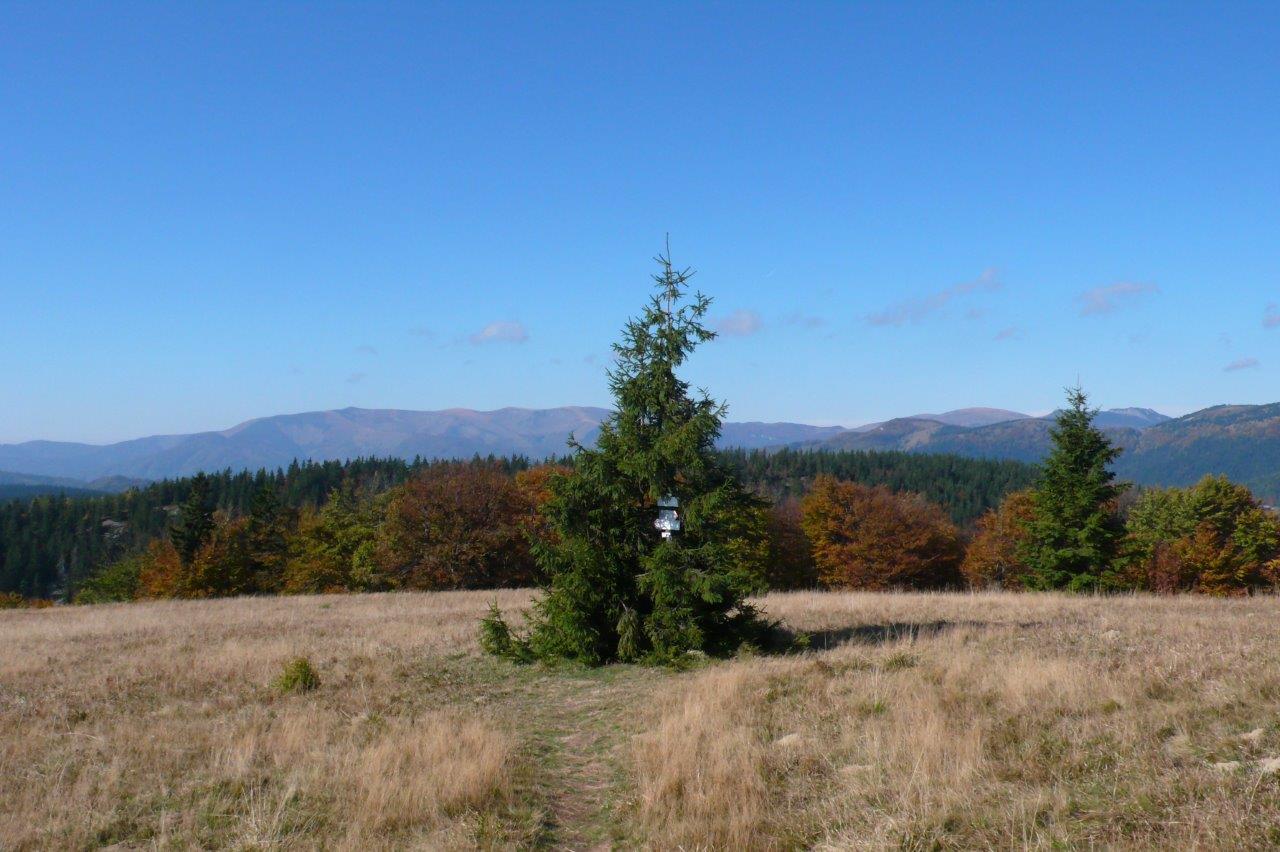 Donovaly Mountain Biking