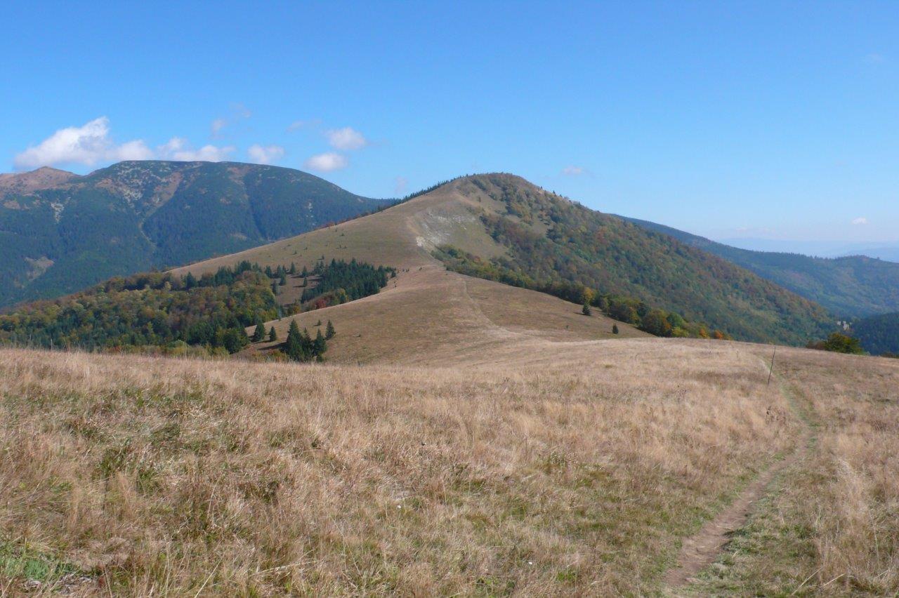 Donovaly Mountain Biking