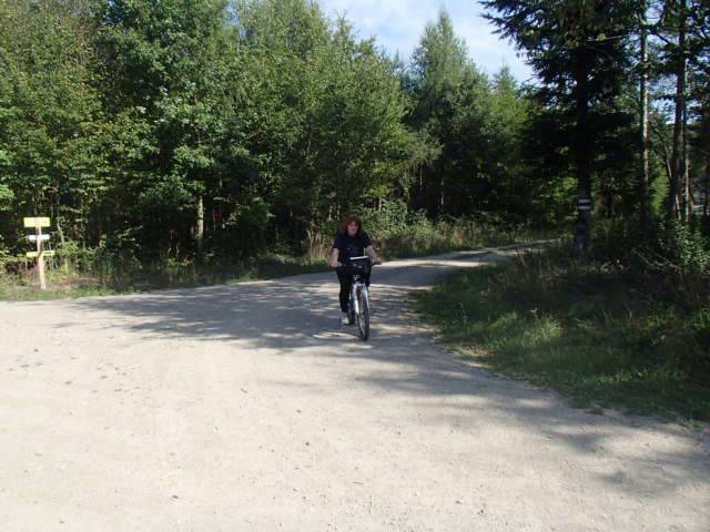 Vienna Woods Nature Park Mountain Biking