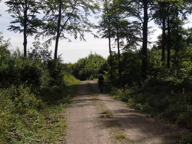 Vienna Woods Nature Park Mountain Biking