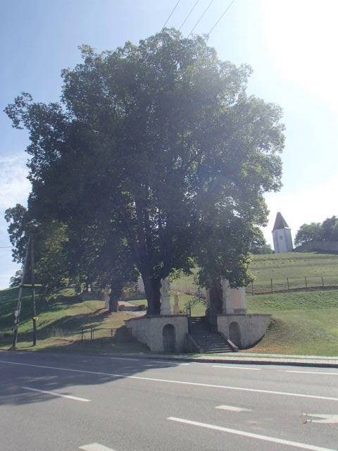 Vienna Woods Nature Park Mountain Biking