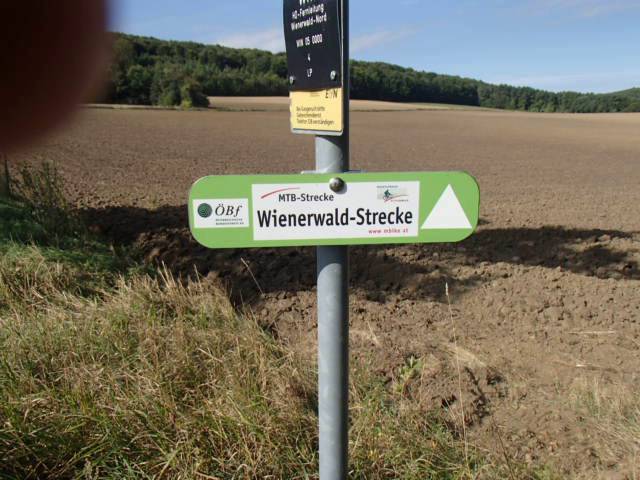 Vienna Woods Nature Park Mountain Biking