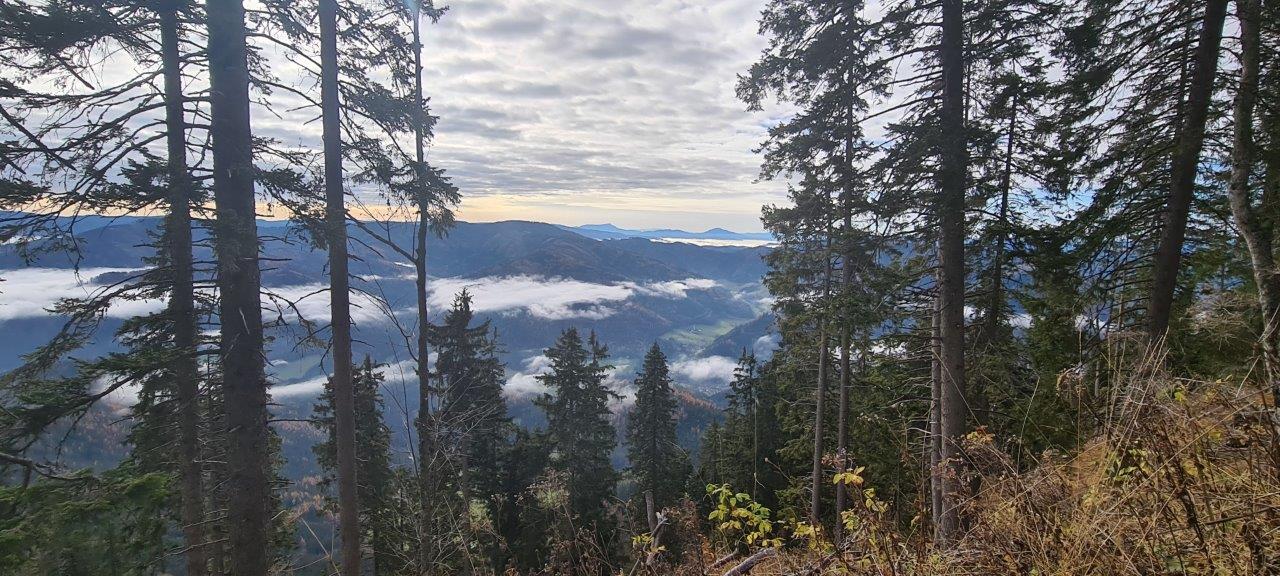 Ascent to Windberg 1,903 m – the highest peak of the Schneealpe Plateau